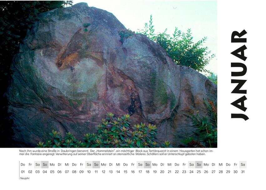 Januar - Motiv: Nach ihm wurde eine Straße in Daubringen benannt. Der „Hammelstein“, ein mächtiger Block aus Tertiärquarzit in einem Hausgarten hat schon immer die Fantasie angeregt. Verwitterung auf seiner Oberfläche erinnert an steinzeitliche Malerei. Schäfern soll er Unterschlupf geboten haben.