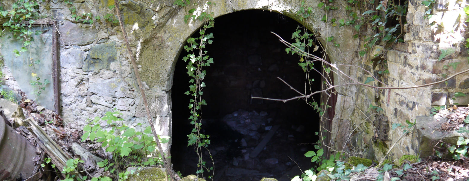 Historischer Eingang zu einem tonnengewölbten Keller in Staufenberg vermutlich aus dem 16. Jh..