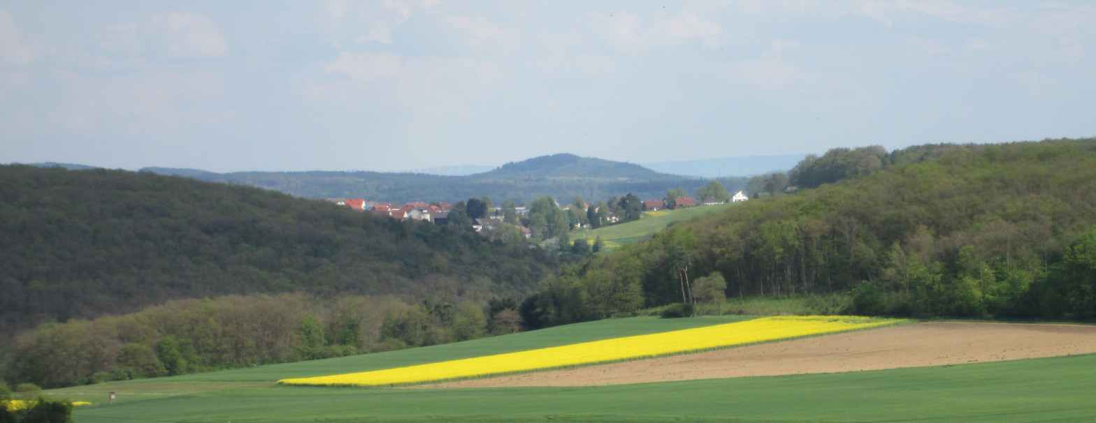 Der Totenberg vom Kalberg bei Damm an der Salzböde gesehen. Im Mittelgrund Oberwalgern.